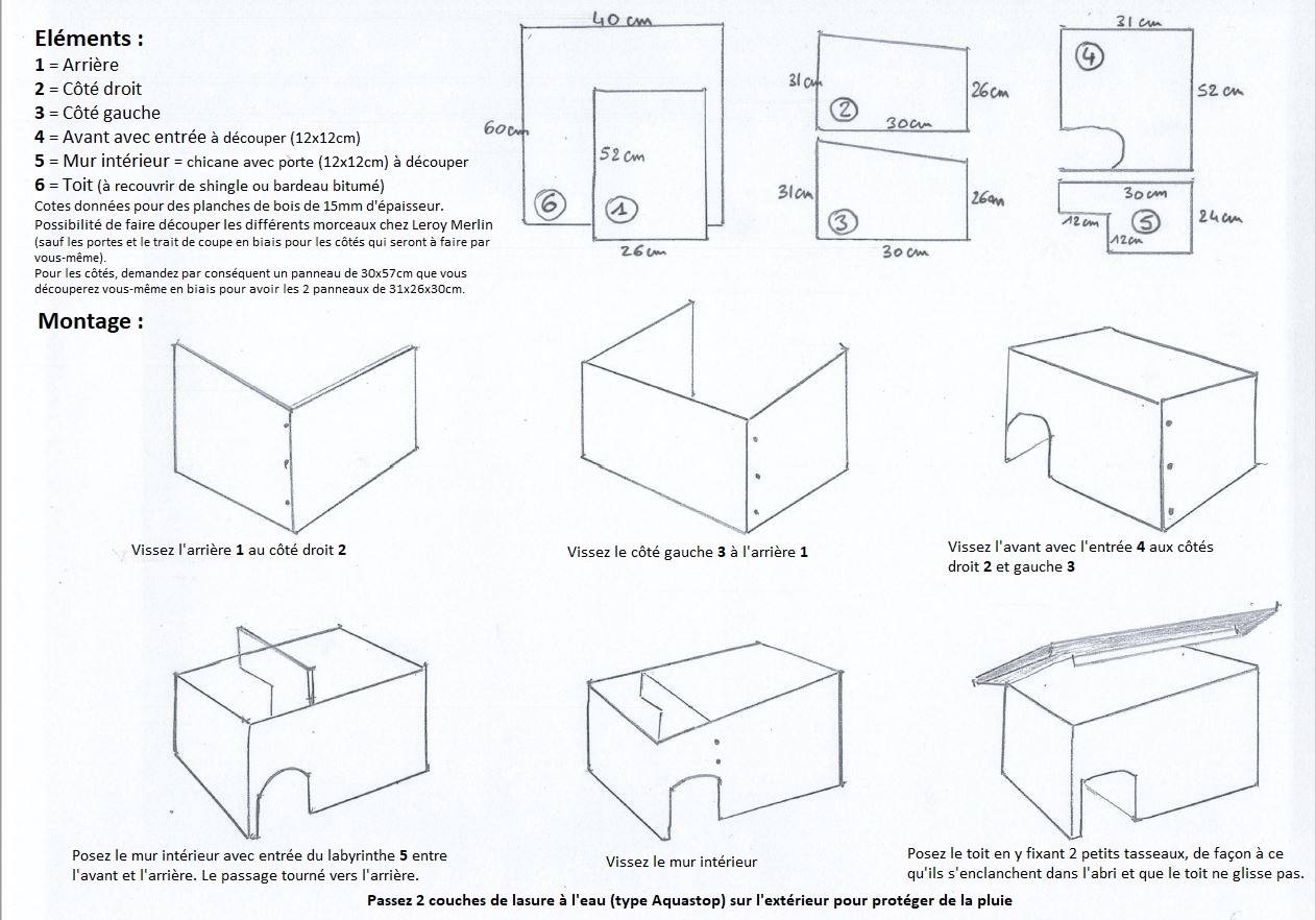 Image contenu modele 01 Image contenu modele 01